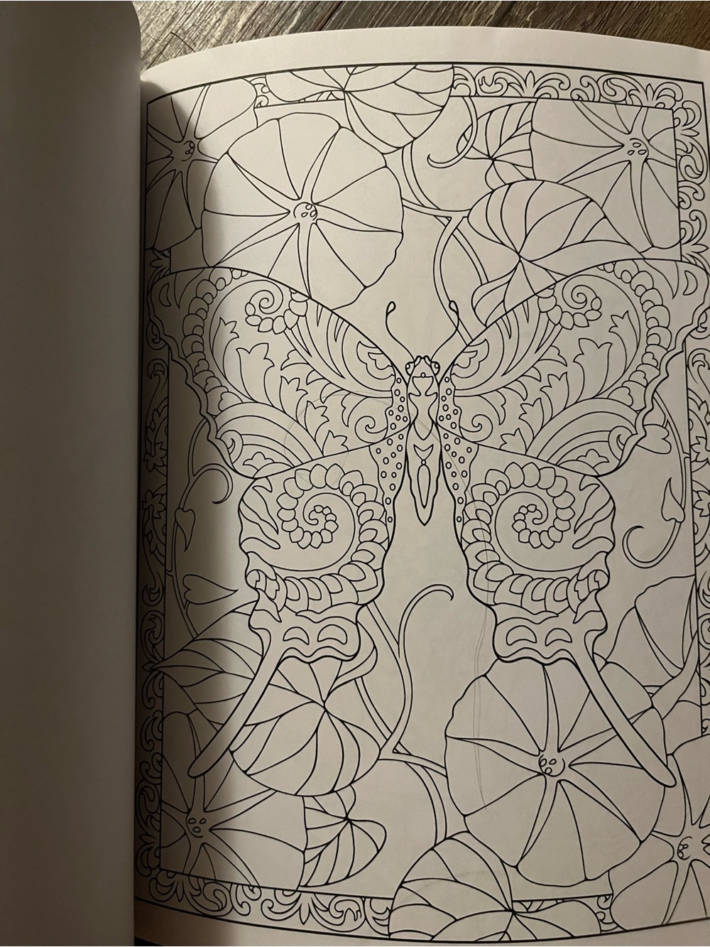 Incredible Insect Designs Coloring Book - Purple & Multicolor - Picture 8 of 10